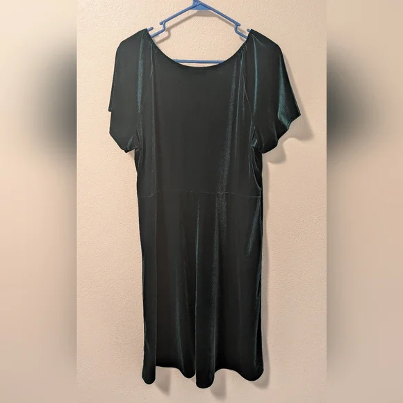 Place Green Flutter Sleeve Velvet Dress - Picture 2 of 4